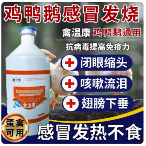 清温立康小鸡疫苗瘟疫特养感疫